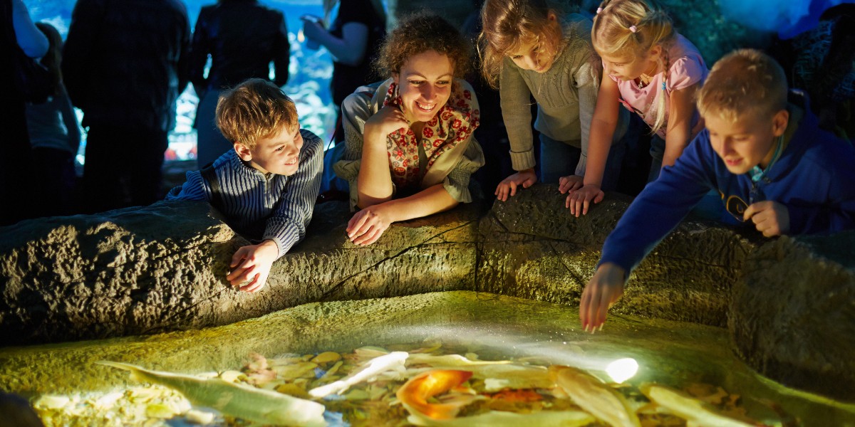 O Henry Doorly Zoo and Aquarium de Omaha gere a ocupação e melhora a experiência dos visitantes com a tecnologia Skyfii